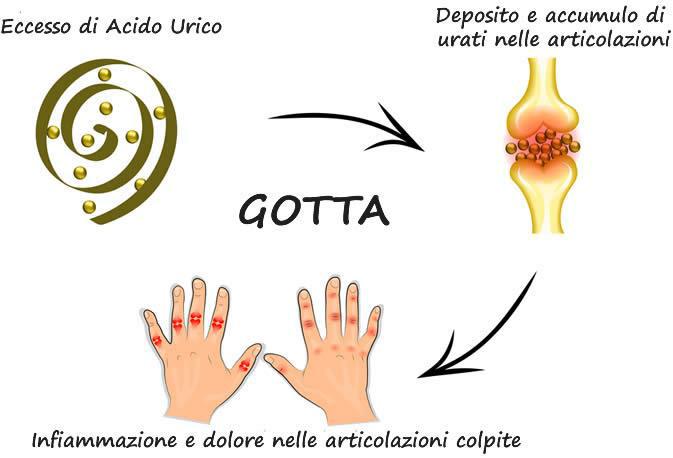 dieta ad alto contenuto di acido urico