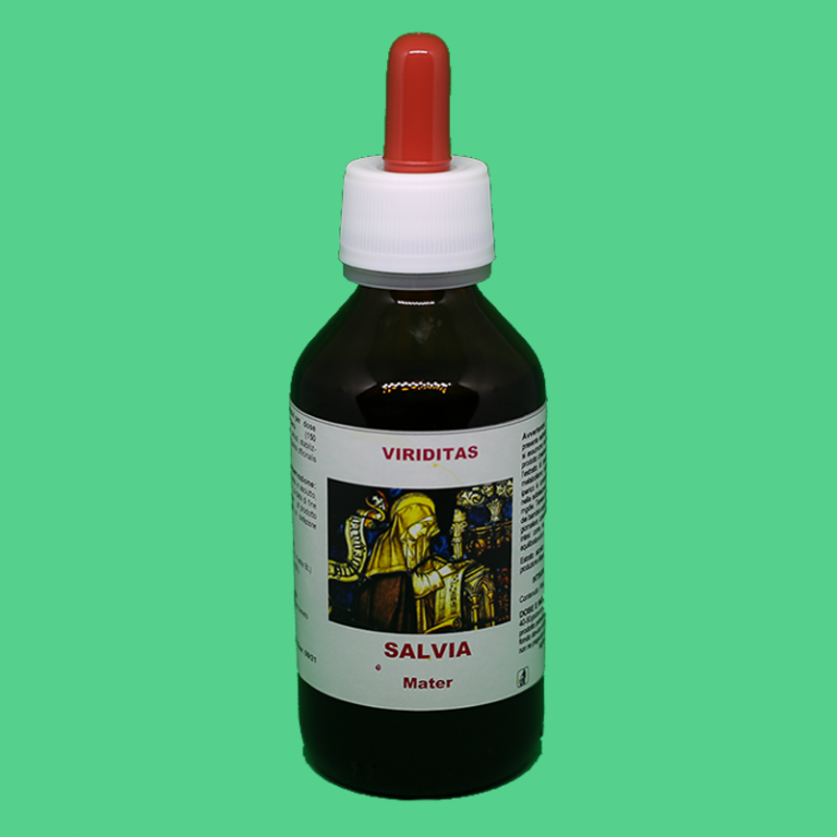 salvia
