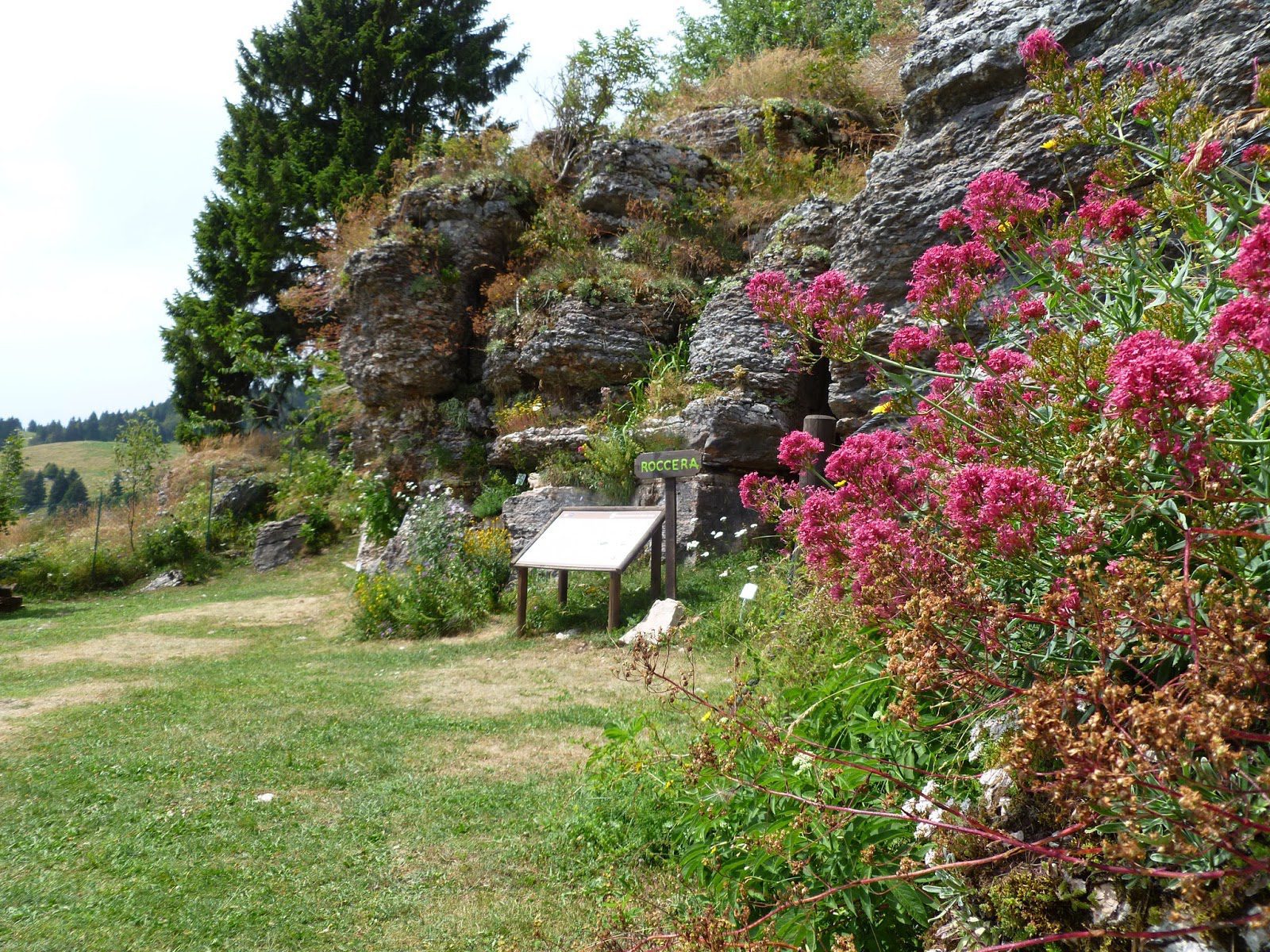 Aa entrata rocciera giardino alpino botanico del monte Corno comune Luisiana Vi Vittorio Alberti Centro riceca piante officinali