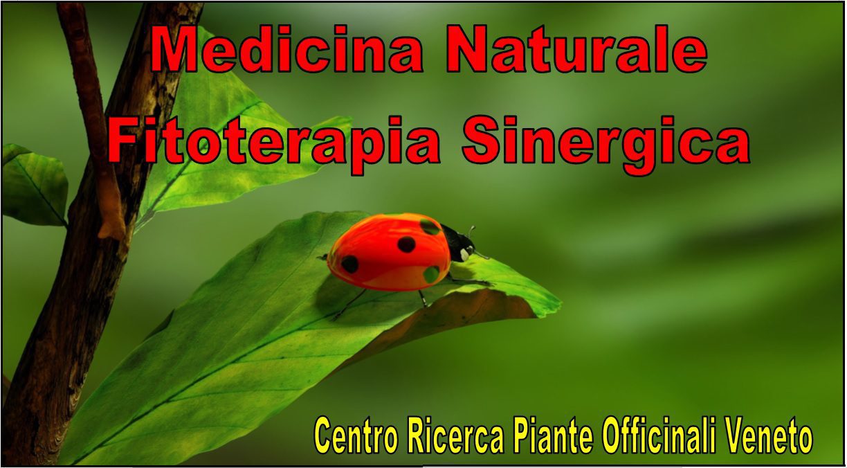 Fitoterapia medicina naturale Scuola di Naturopatia Hermete Sophia