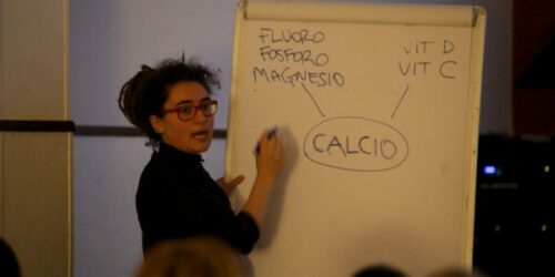 img050-1-600x300-1