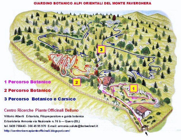 Giardino-Botanico-Alpino-delle-Alpi-Orientali-del-Monte-Faverghera-Centro-Ricerca-Piante-Officinali-Belluno-Vittorio-Alberti-1